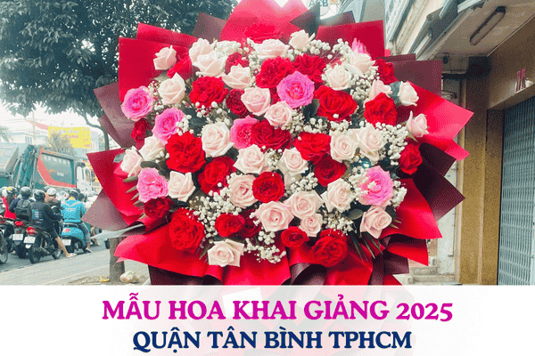 Mẫu Hoa Khai Giảng 2025 Quận Tân Bình, TPHCM 